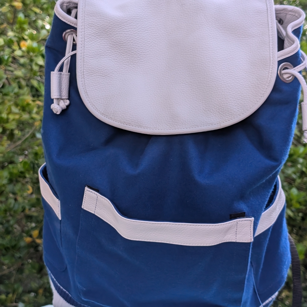 Casual Blue and White Backpack with Color Block Design